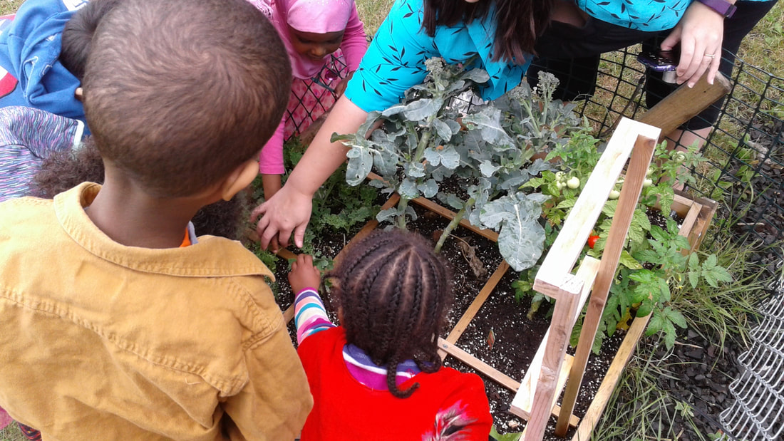 Children tending plants outdoors